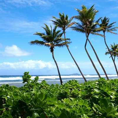 St. Croix, Caribbean