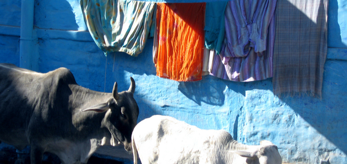 Photo of Jodhpur