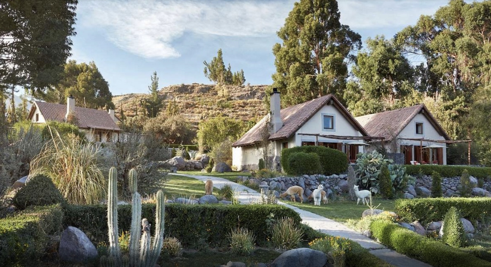 Foto von Belmond Las Casitas