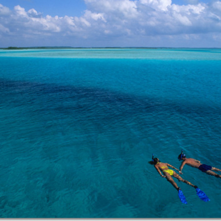 Top Diving Resorts in Turks And Caicos