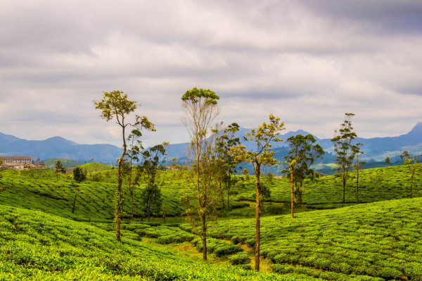 Tamil Nadu