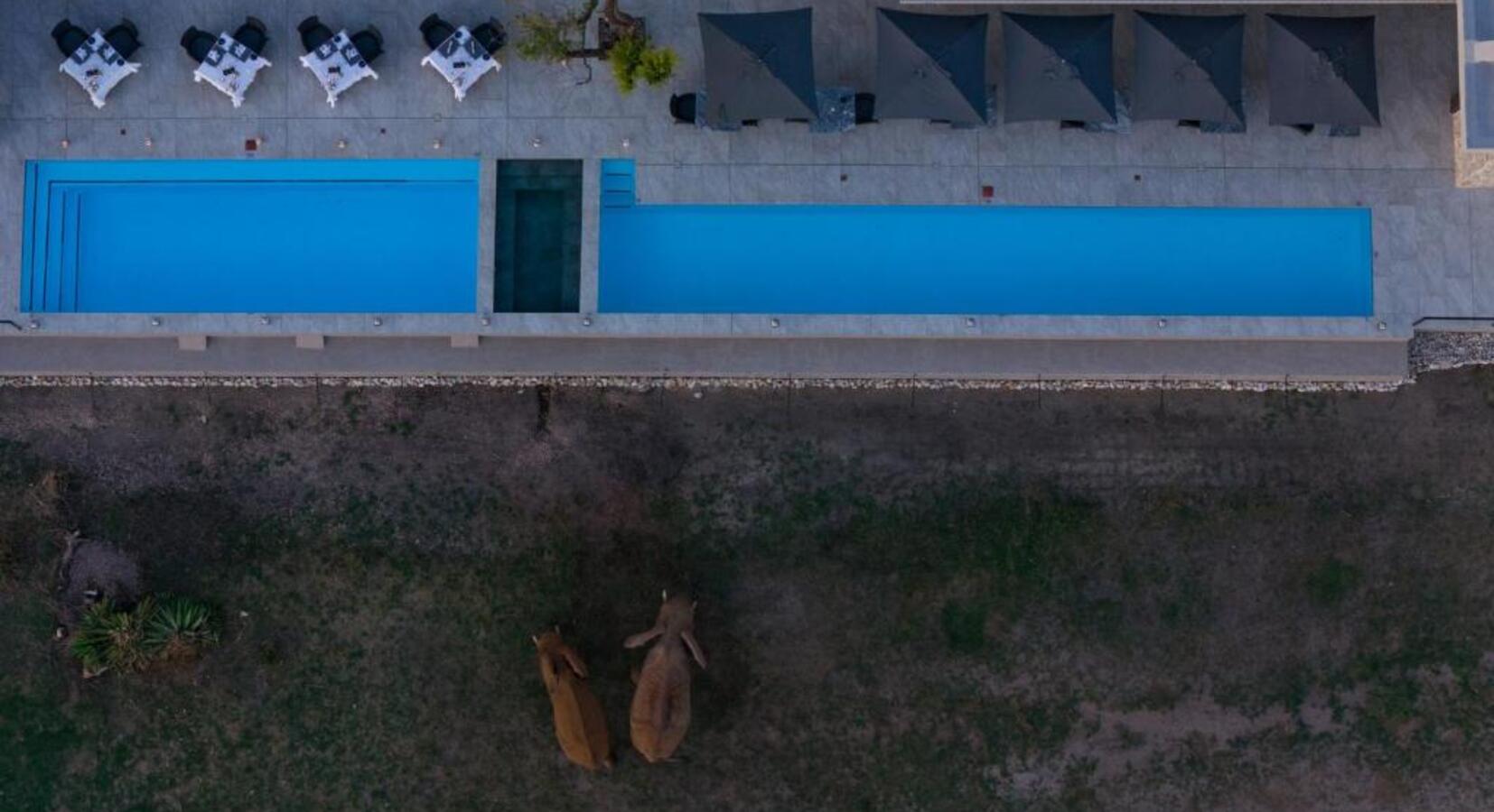 Pool area