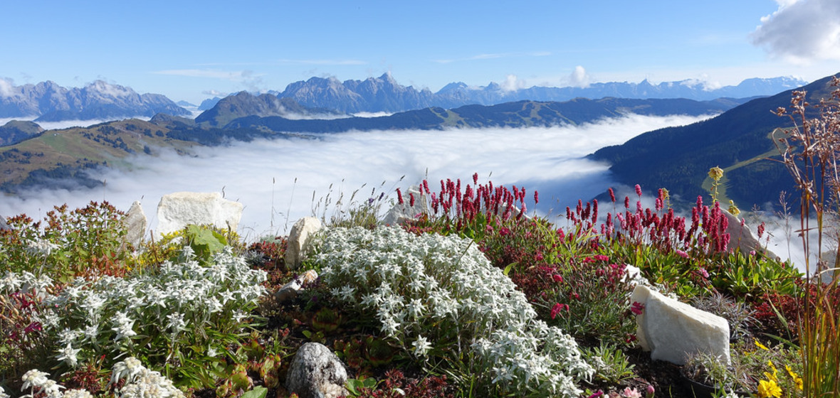 Foto von Saalbach-Hinterglemm