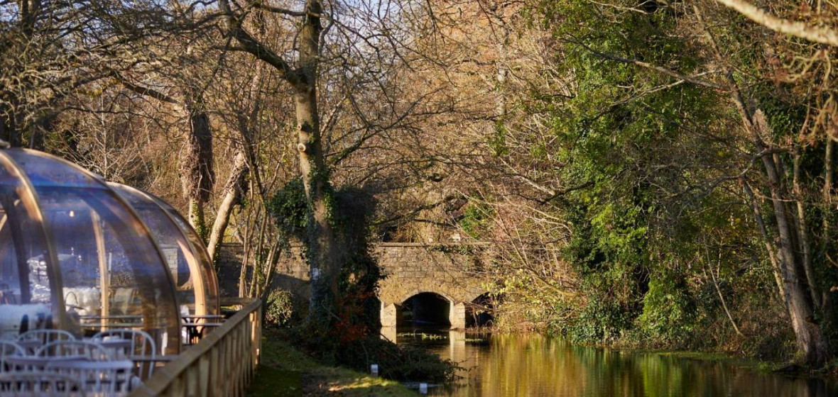 Wild Thyme & Honey, Cirencester. Expert reviews and highlights The