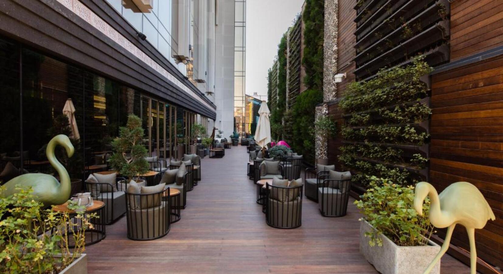 Terrace