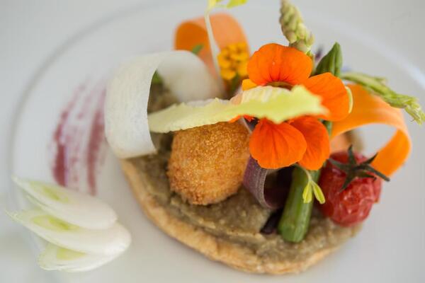 Chateau les Oliviers de Salettes