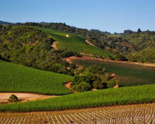 Die 20 besten Weinhotels im Napa Valley