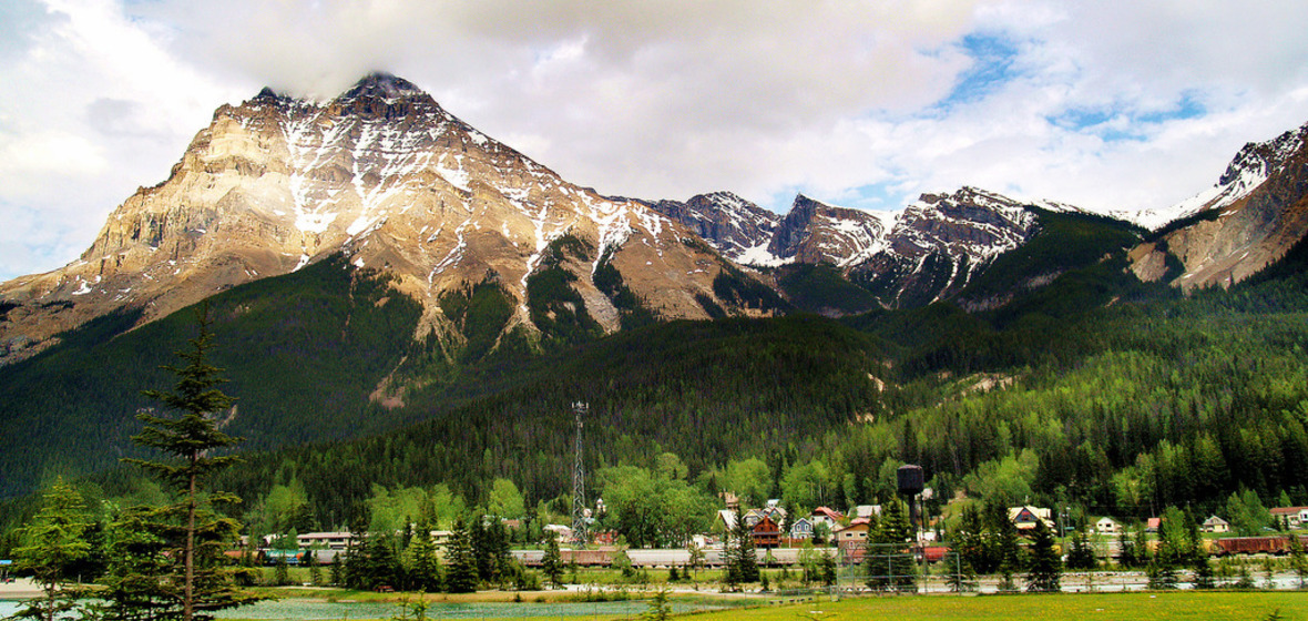 Photo of Field