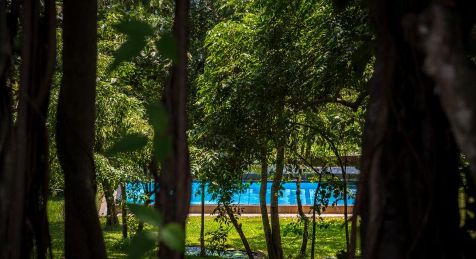 Swimming Pool in Leafy Gardens