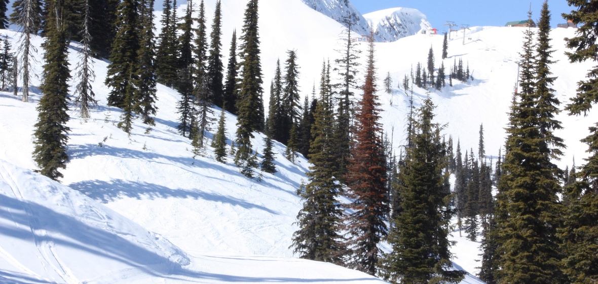Photo of Fernie