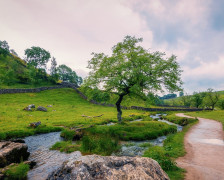 Les 18 meilleurs hôtels du parc national des Yorkshire Dales