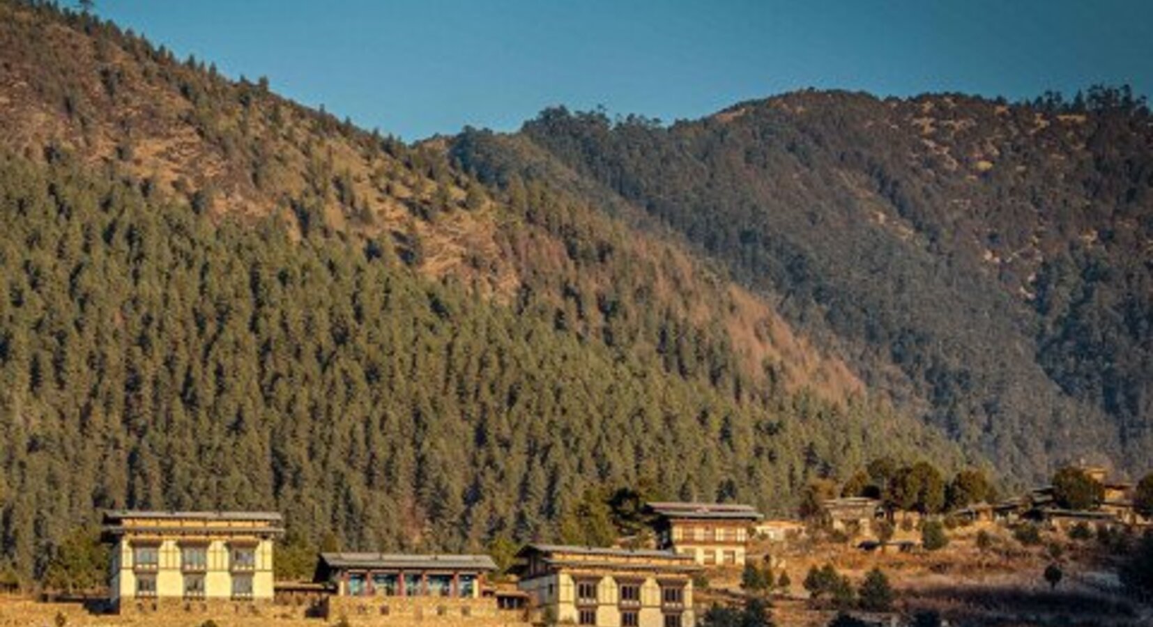 The lodge