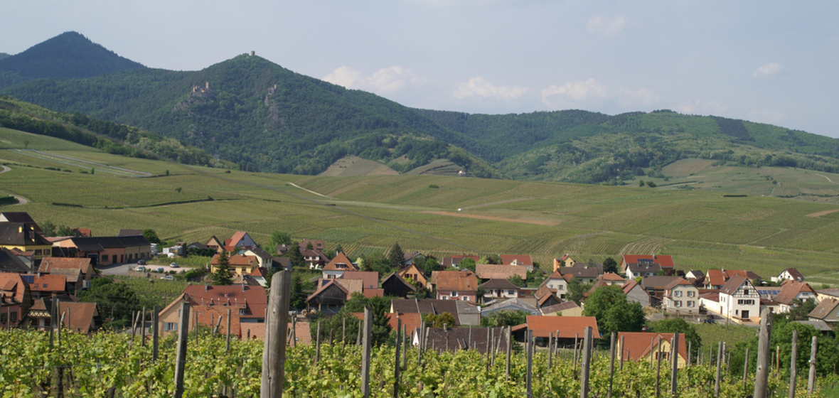 Foto von Ribeauville